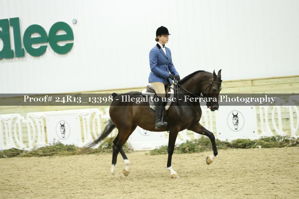 Proof 24R13_13398