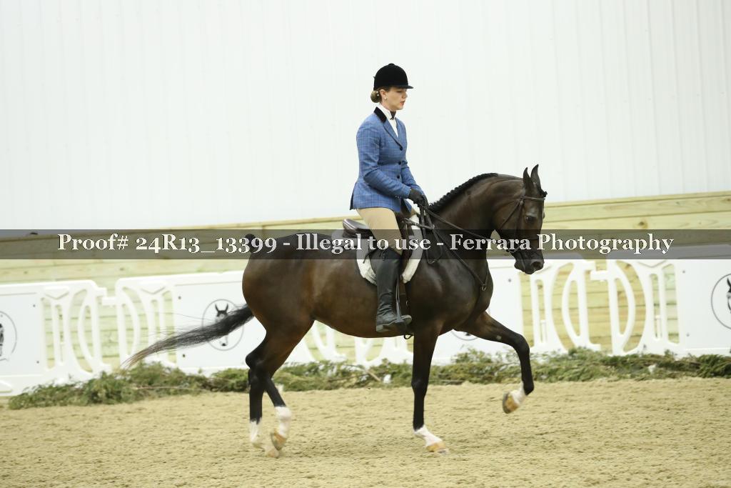 Proof 24R13_13399