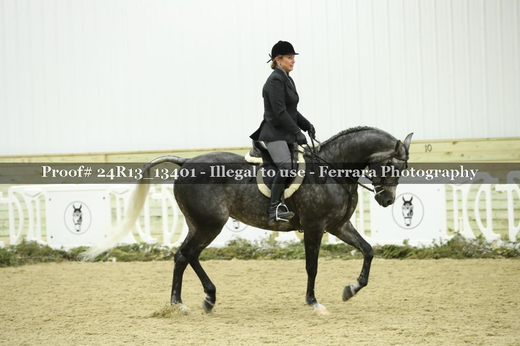 Proof 24R13_13401