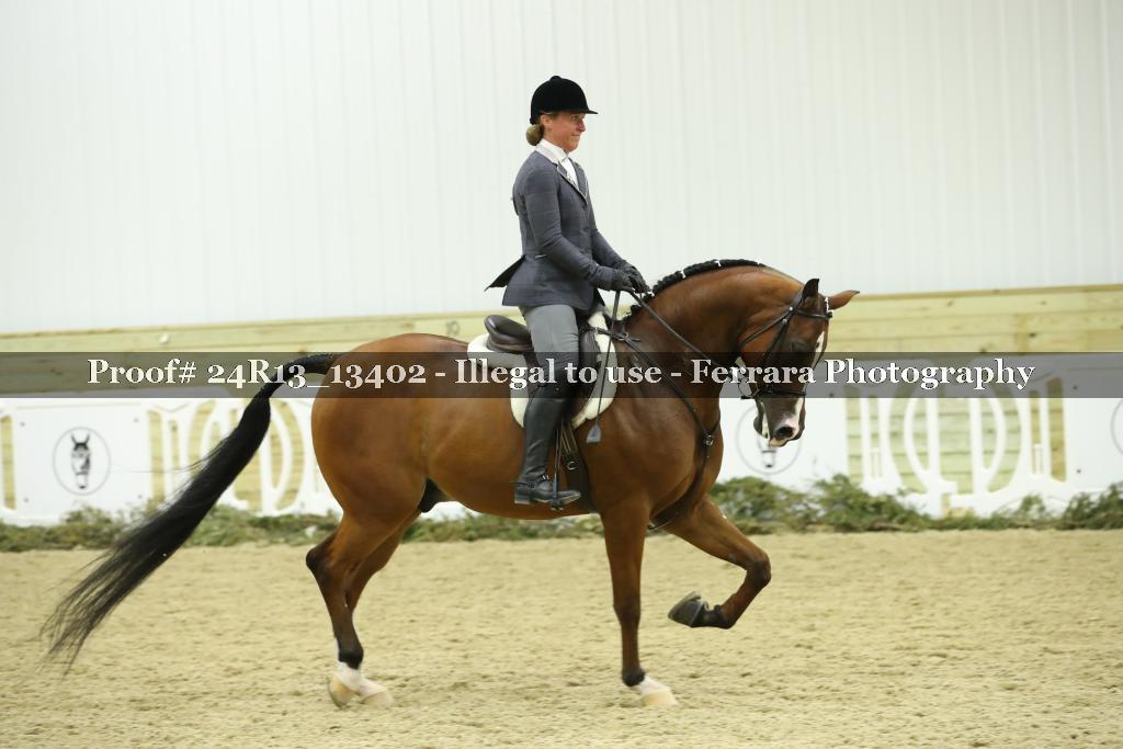 Proof 24R13_13402