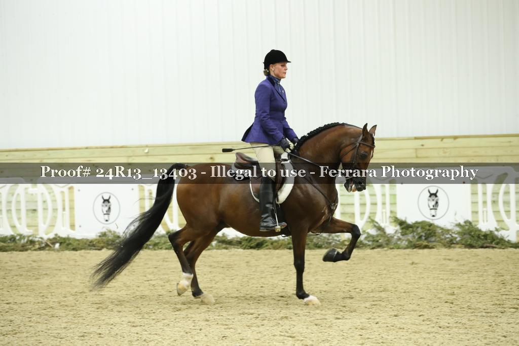 Proof 24R13_13403