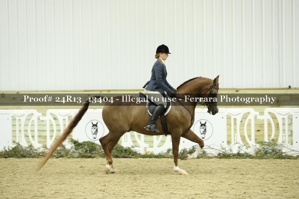 Proof 24R13_13404