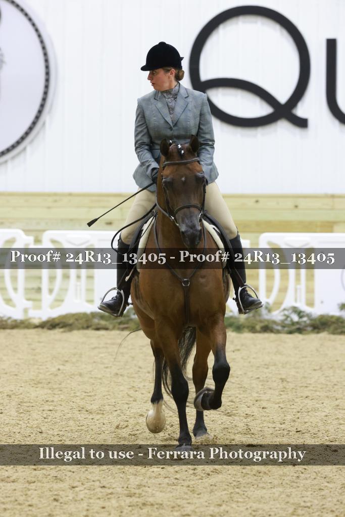 Proof 24R13_13405