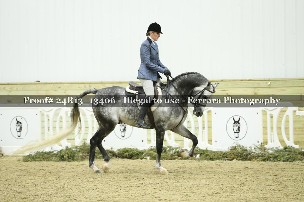 Proof 24R13_13406
