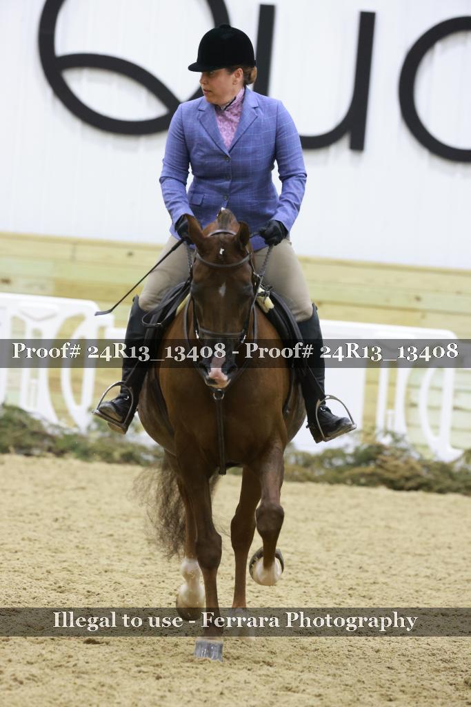 Proof 24R13_13408