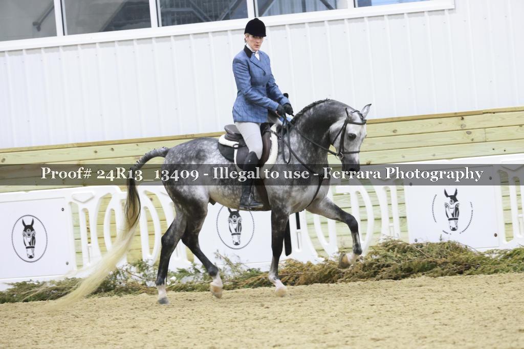 Proof 24R13_13409