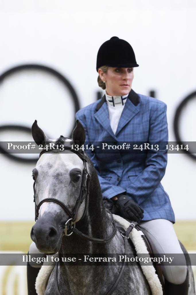 Proof 24R13_13414