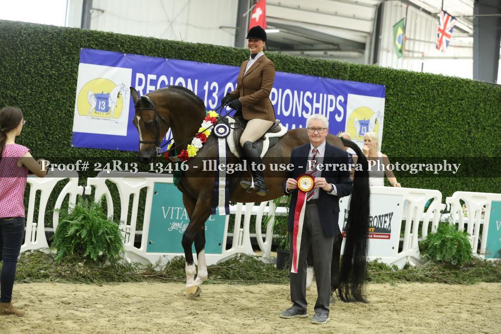Proof 24R13_13416