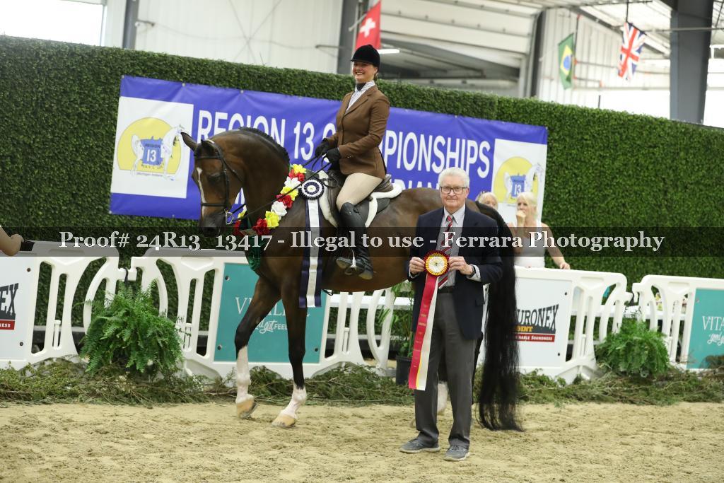 Proof 24R13_13417