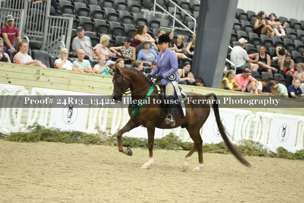 Proof 24R13_13422