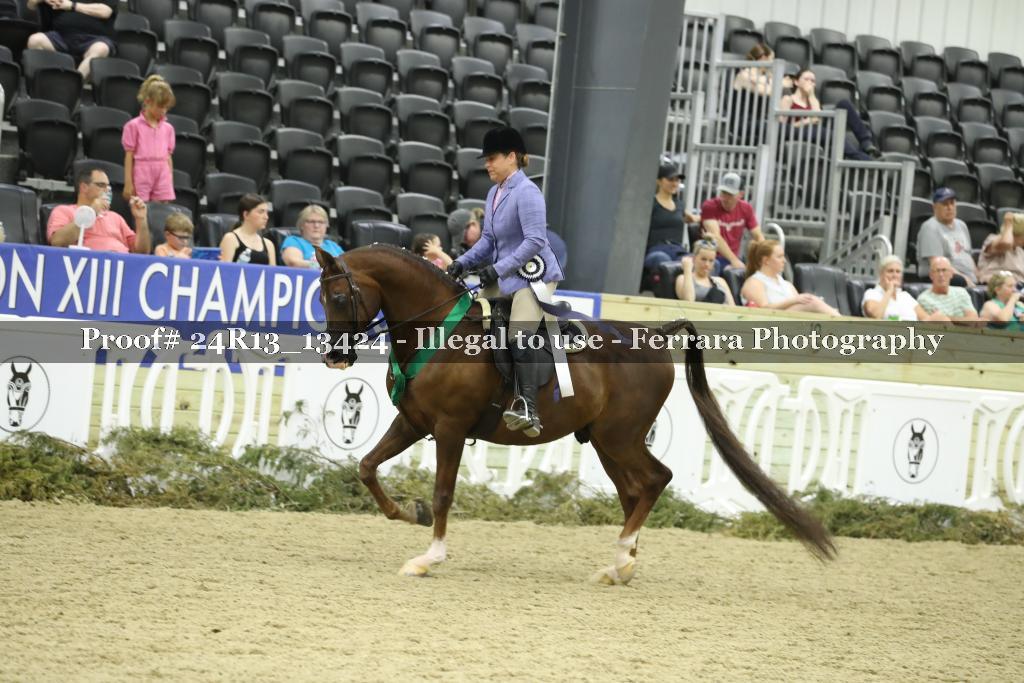 Proof 24R13_13424