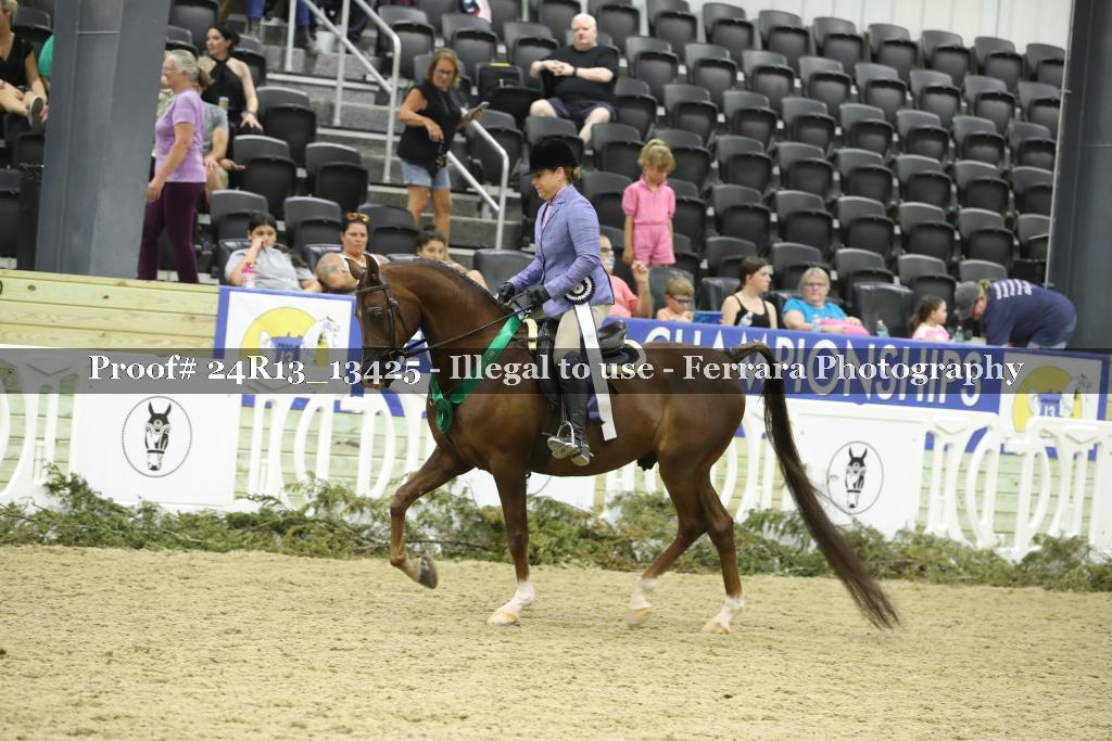 Proof 24R13_13425
