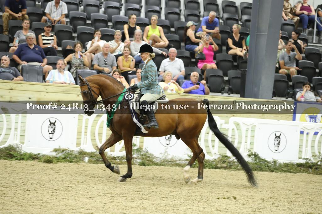 Proof 24R13_13431