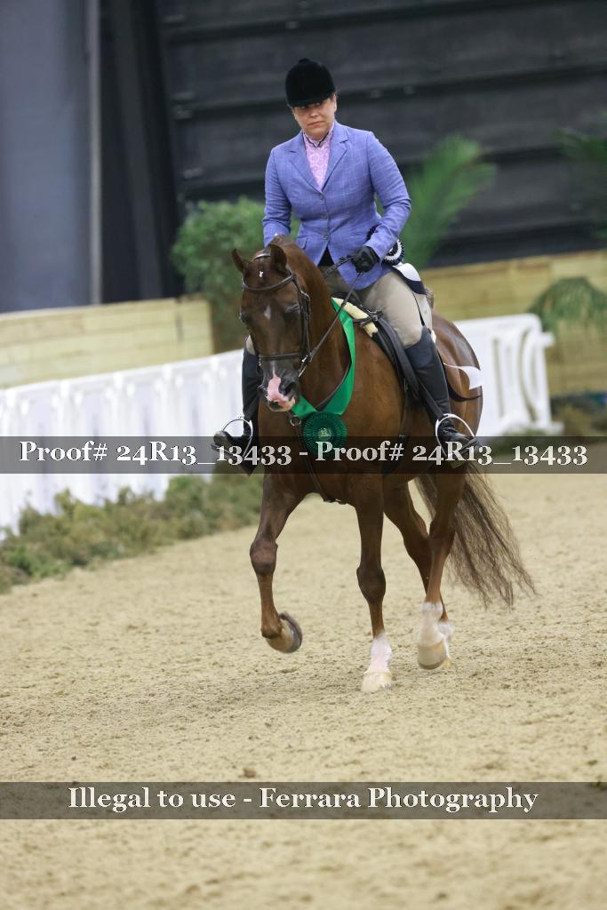 Proof 24R13_13433