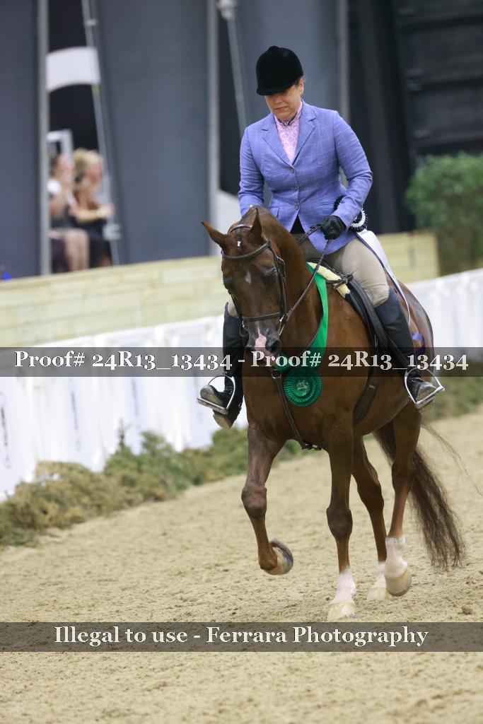 Proof 24R13_13434