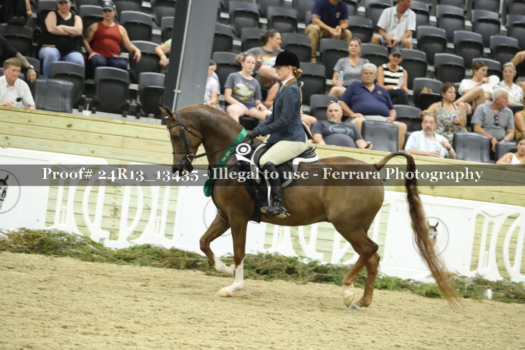 Proof 24R13_13435