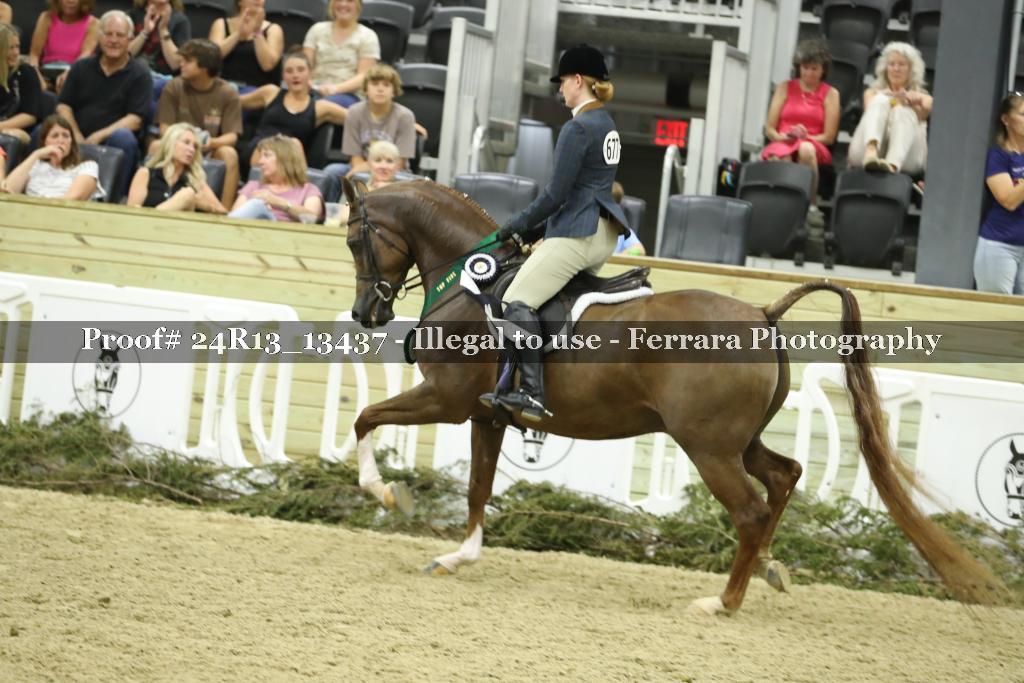 Proof 24R13_13437
