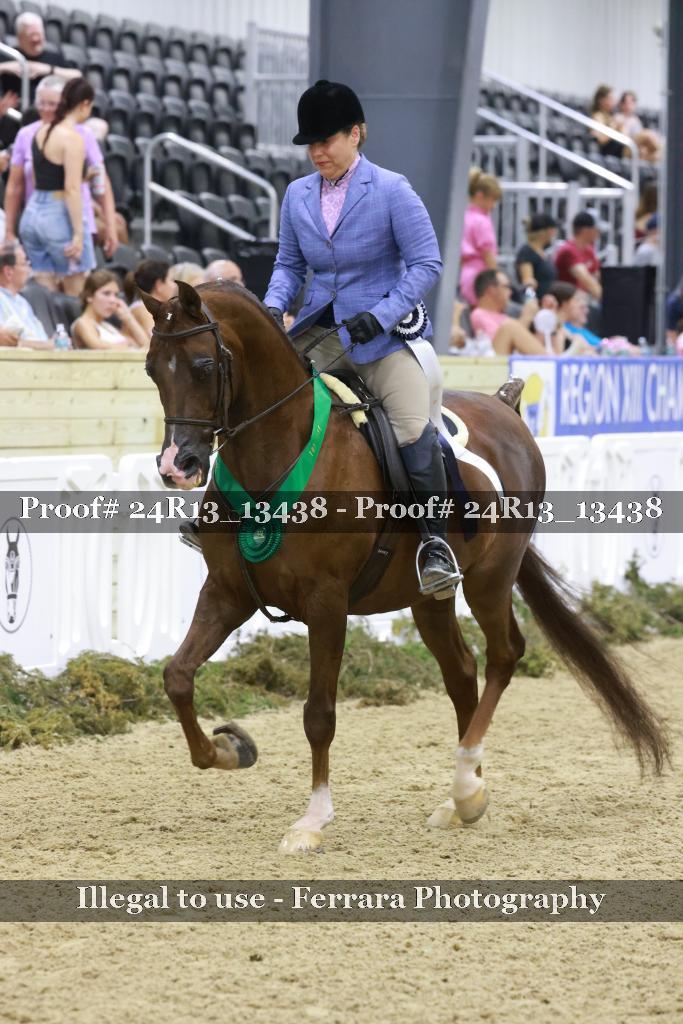 Proof 24R13_13438