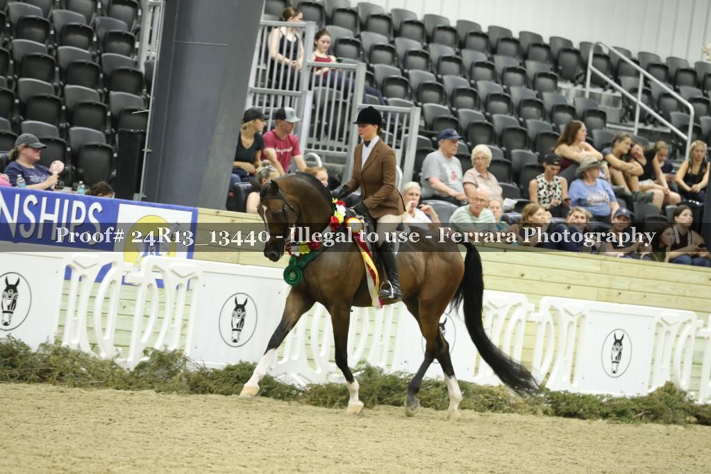 Proof 24R13_13440