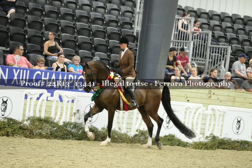 Proof 24R13_13441