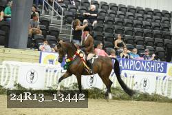 24R13_13442 proof
