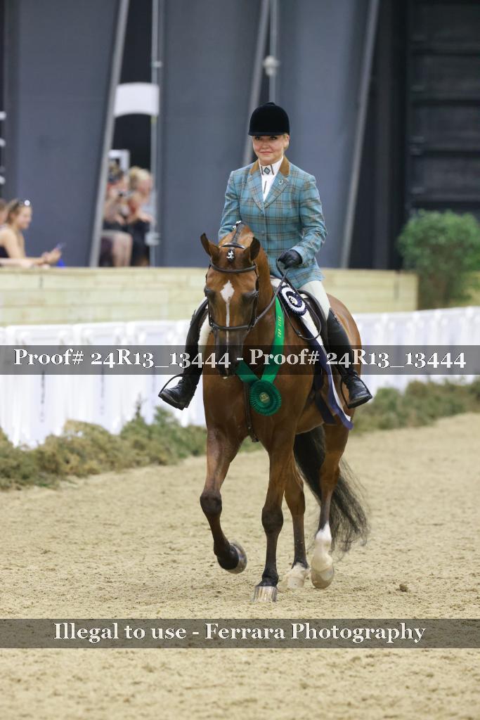 Proof 24R13_13444
