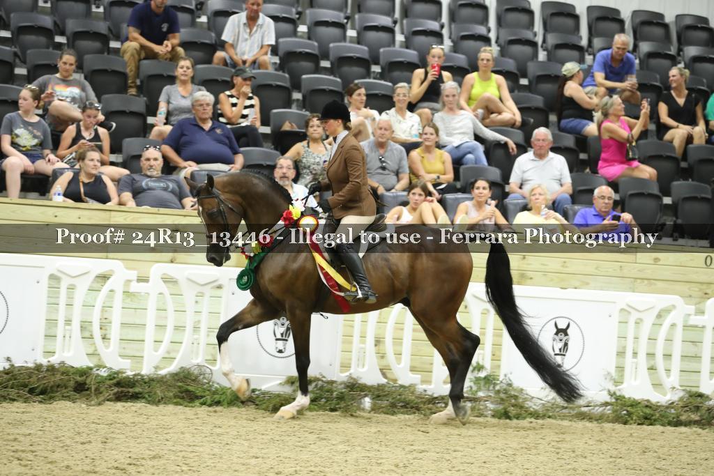 Proof 24R13_13446