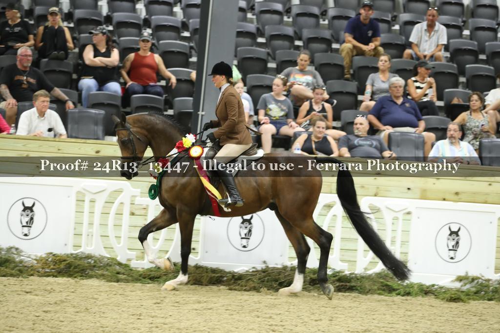 Proof 24R13_13447