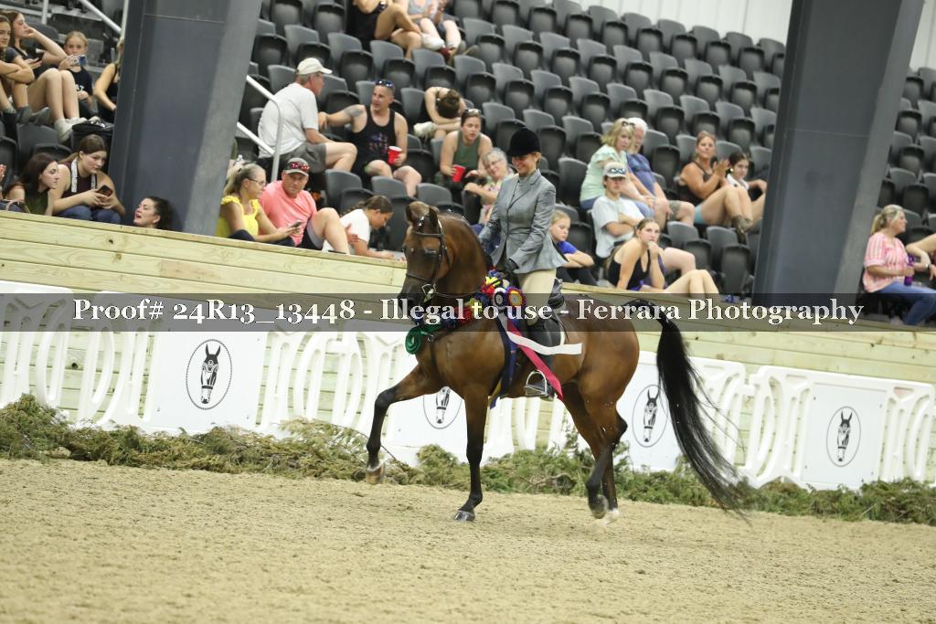 Proof 24R13_13448