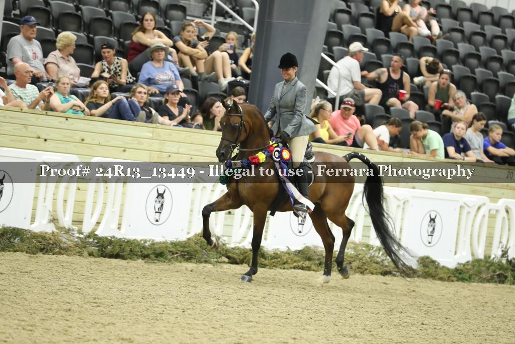 Proof 24R13_13449