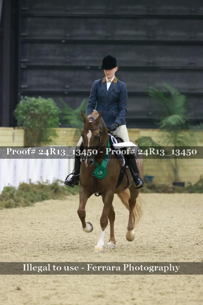 Proof 24R13_13450