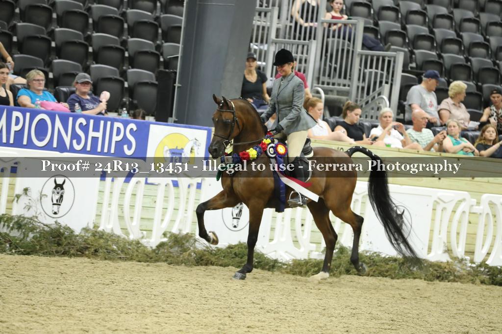 Proof 24R13_13451