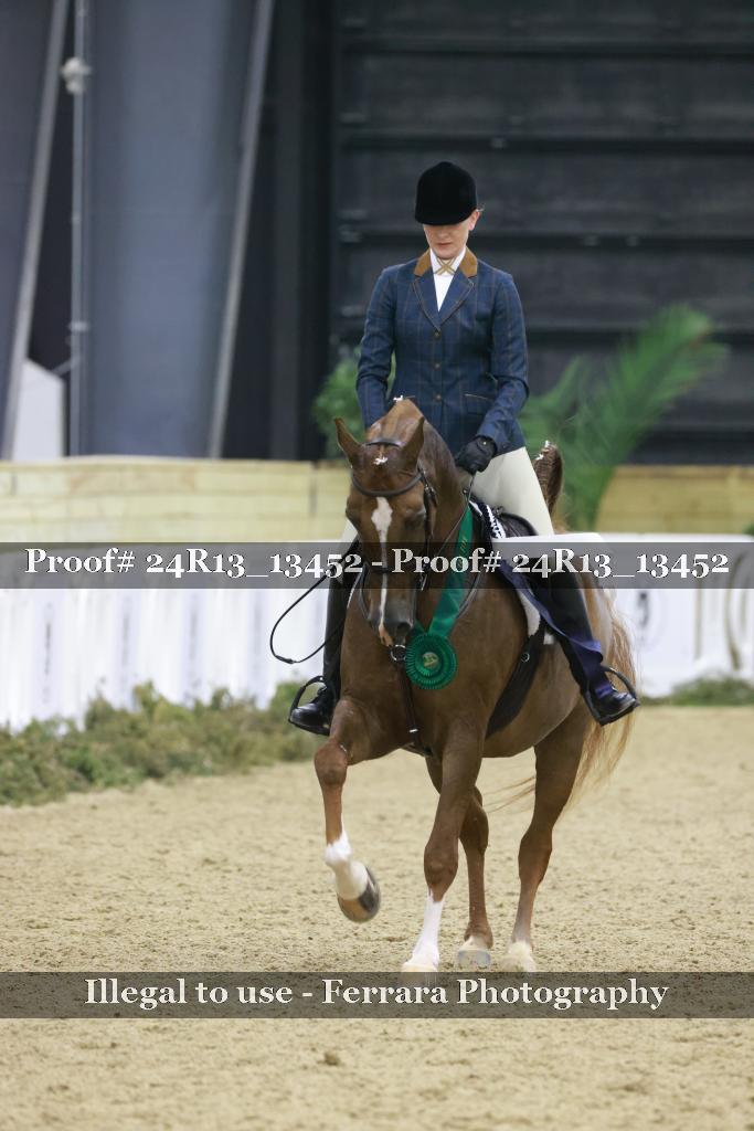 Proof 24R13_13452
