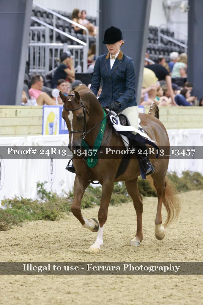 Proof 24R13_13457