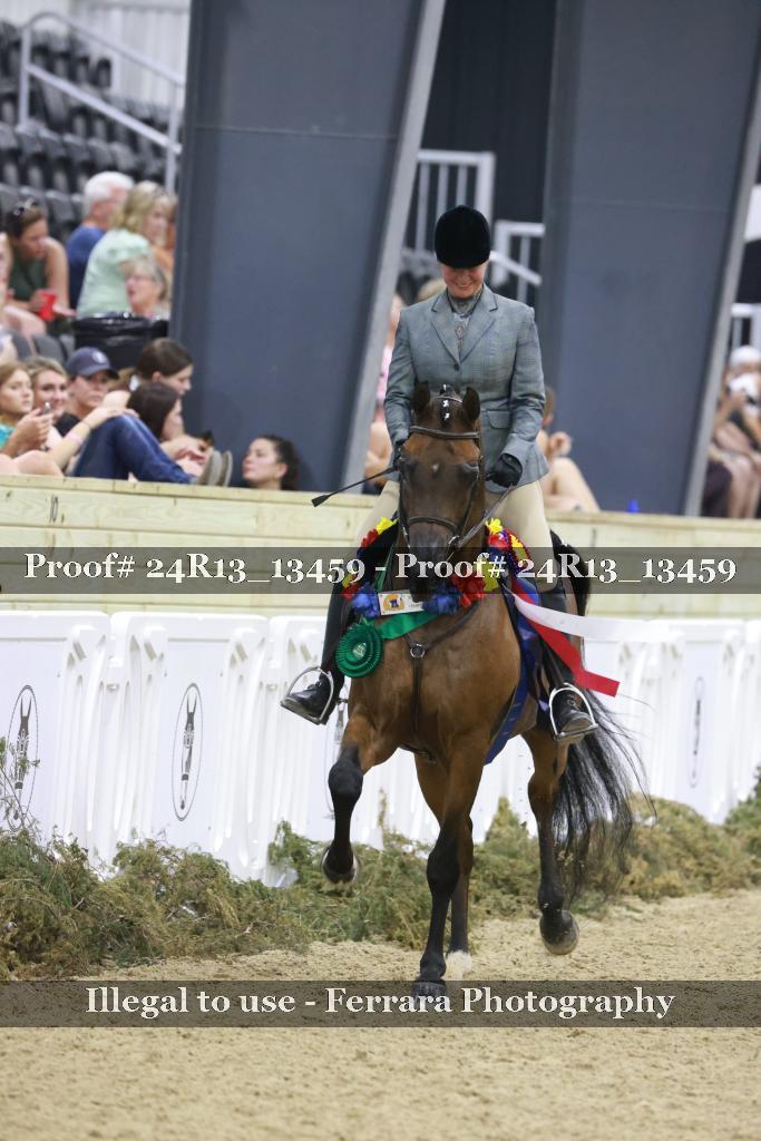 Proof 24R13_13459