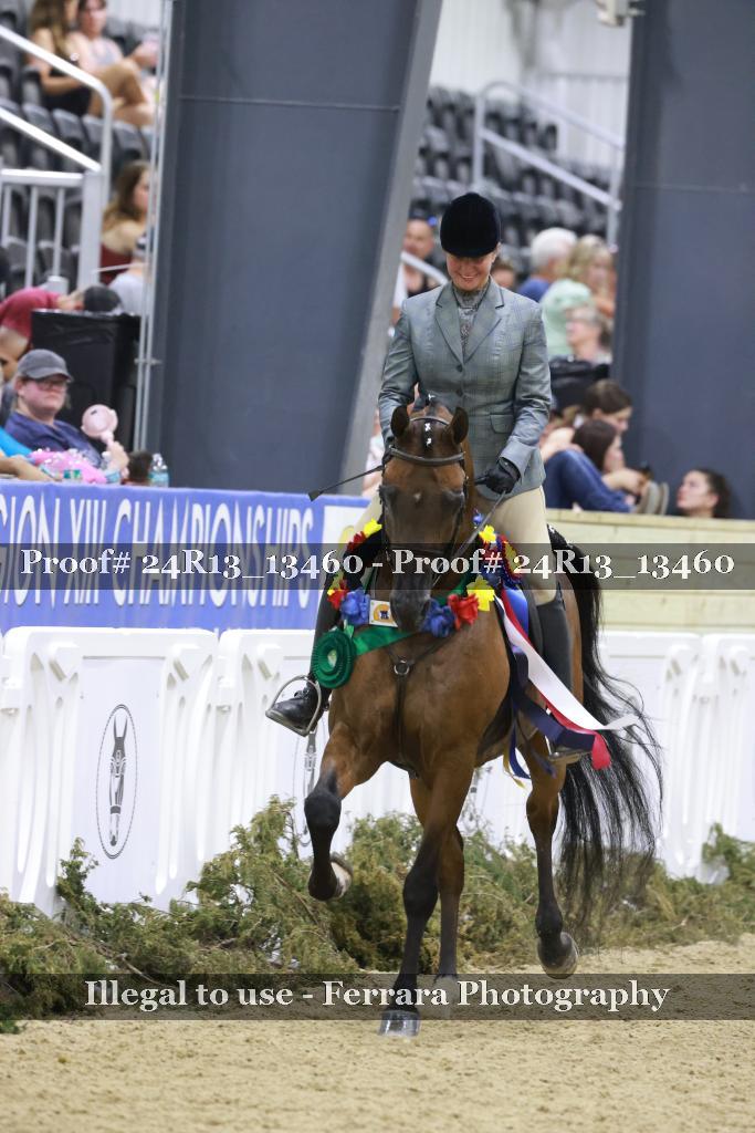 Proof 24R13_13460