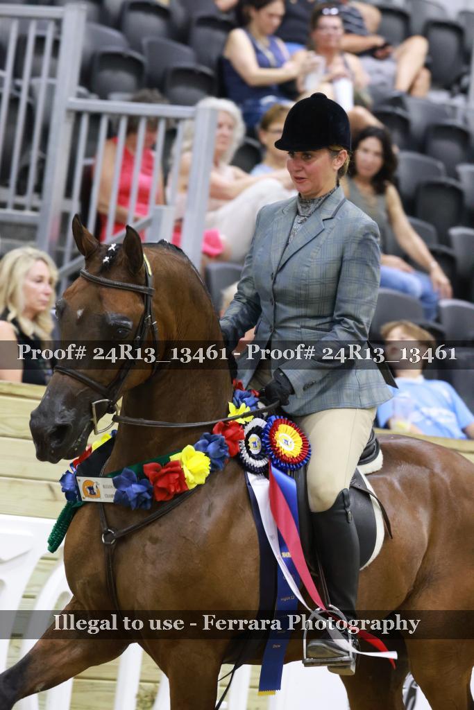 Proof 24R13_13461