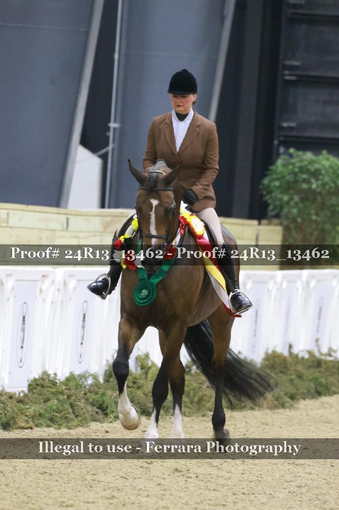 Proof 24R13_13462