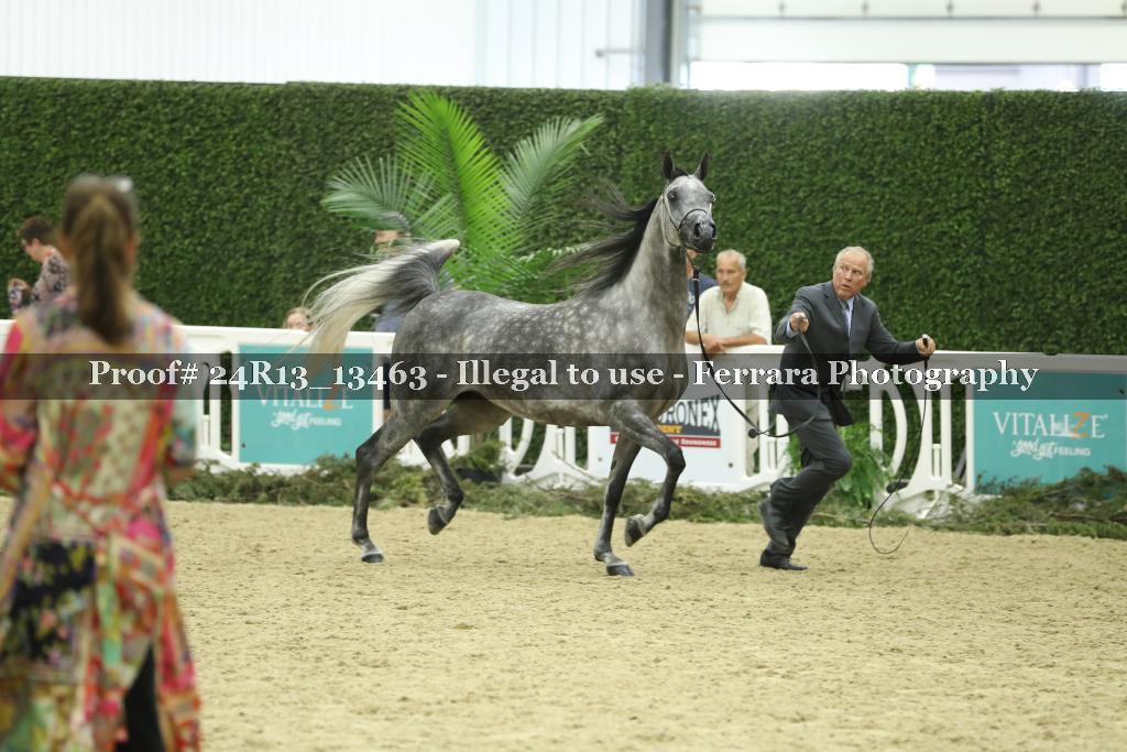 Proof 24R13_13463