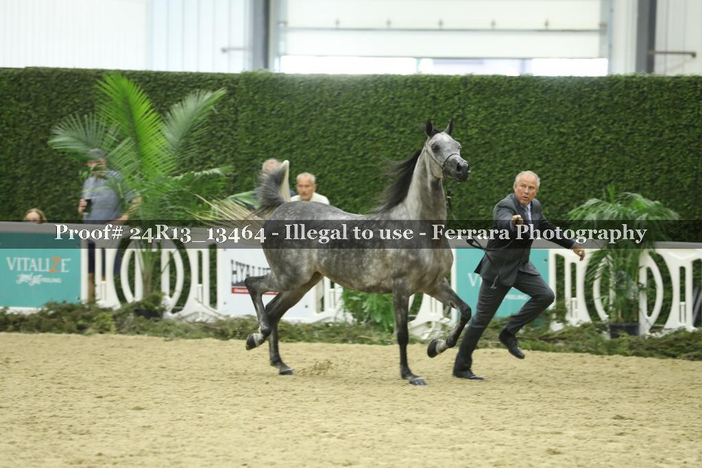Proof 24R13_13464
