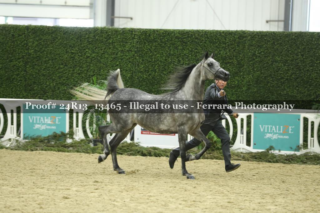 Proof 24R13_13465