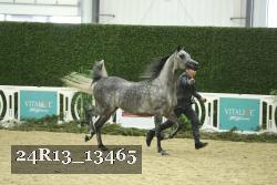 24R13_13465 proof