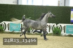 24R13_13466 proof