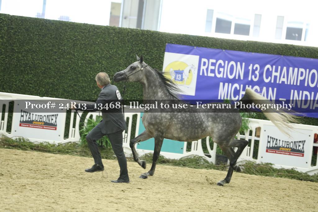 Proof 24R13_13468