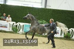 24R13_13469 proof