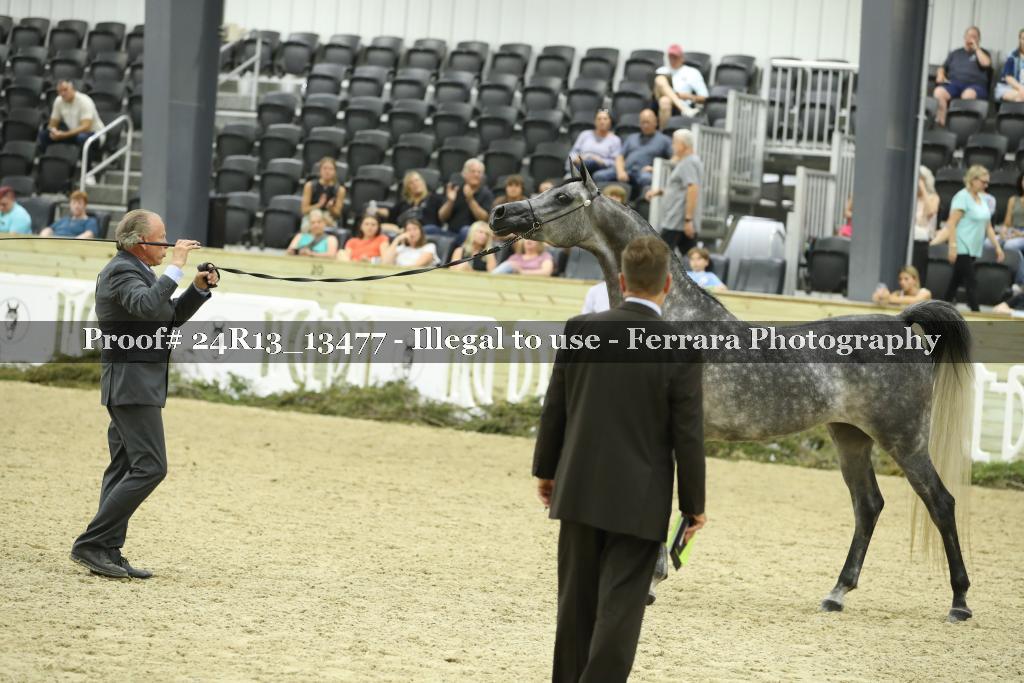 Proof 24R13_13477