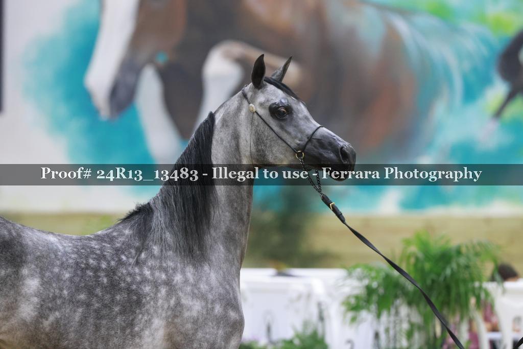 Proof 24R13_13483