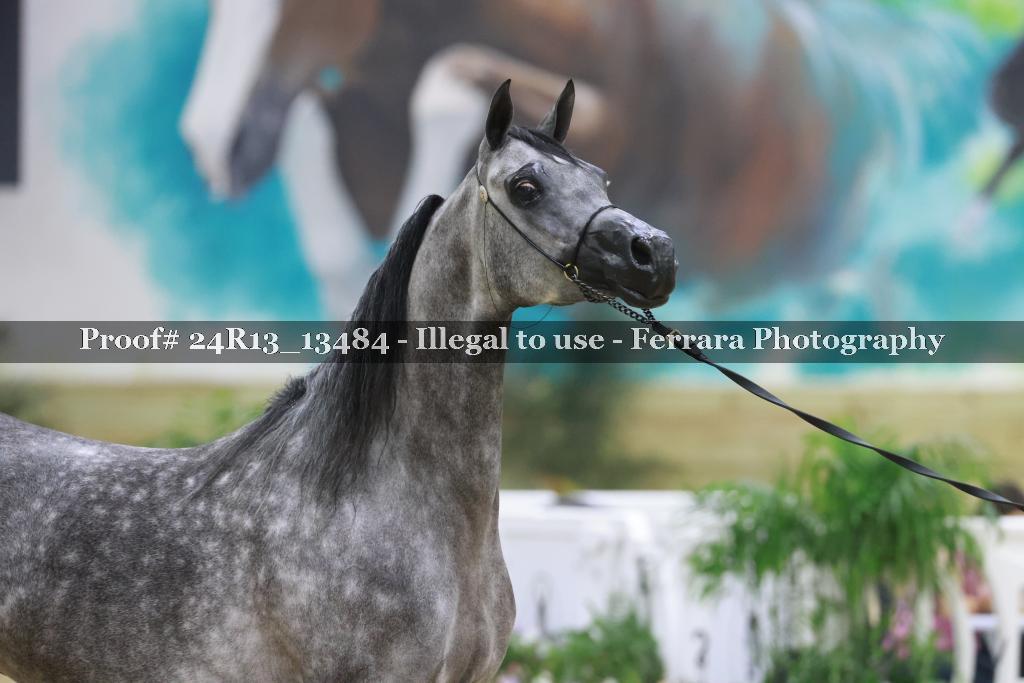 Proof 24R13_13484