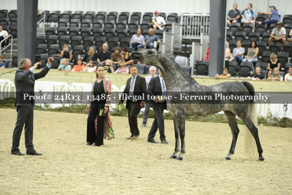 Proof 24R13_13485