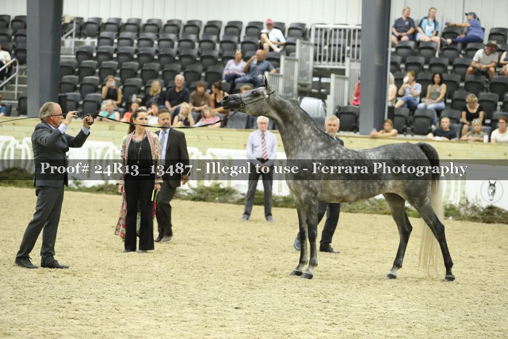 Proof 24R13_13487